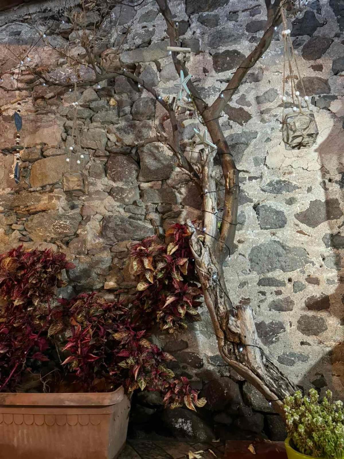 Afroditi'S 1 Eresos  Exteriör bild